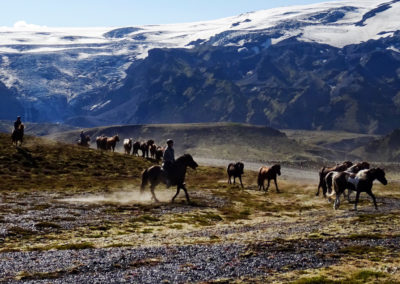 Rideferie og rideture på Island og islandske heste med Islandshestar og ISLANDSREJSER