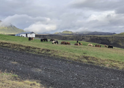 Rideferie og rideture på Island og islandske heste med Islandshestar og ISLANDSREJSER