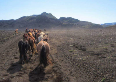 Rideferie og rideture på Island og islandske heste med Islandshestar og ISLANDSREJSER