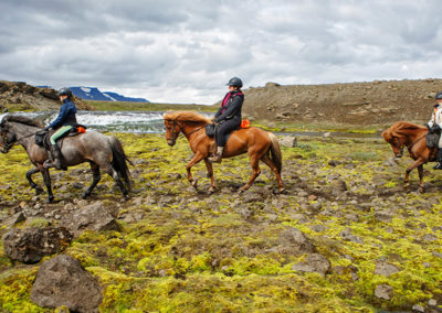 Rideture på Island - rideferie med ISLANDSREJSER