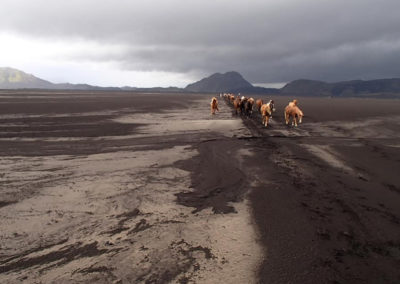 Rideferie og rideture på Island og islandske heste - ISLANDSREJSER