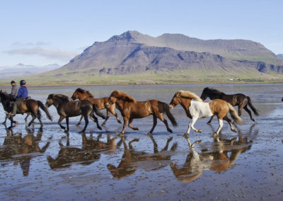 Island rideferie med ISLANDSREJSER