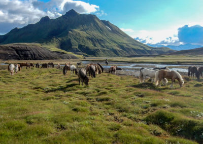 Rideferie rideture på islandske heste med ISLANDSREJSER