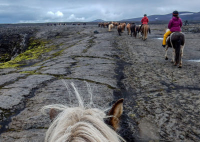 Rideferie rideture på islandske heste med ISLANDSREJSER