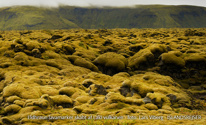 Vulkanerne i Island - Eldhraun lavamarker