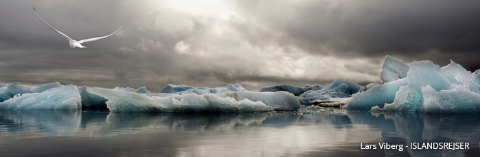 Jökulsárlón gletsjerlagune på jeres kør-selv ferie og bilferie til Island med ISLANDSREJSER