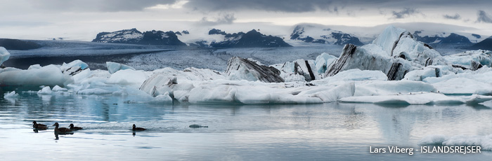 Jökulsárlón gletsjerlagune på jeres kør-selv ferie og bilferie til Island med ISLANDSREJSER