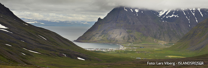 Vestfjordene i Island på kør-selv ferie med ISLANDSREJSER og rejser til Island