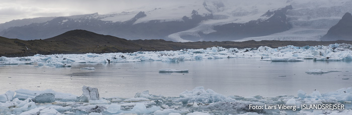 Vatnajökull Østfjordene i Island på kør-selv ferie med ISLANDSREJSER og rejser til Island