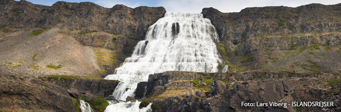 Vestfjordene i Island på kør-selv ferie med ISLANDSREJSER og rejser til Island