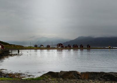 Mjoeyri mod øst på kør-selv ferie bilferie og grupperejser i Island med ISLANDSREJSER