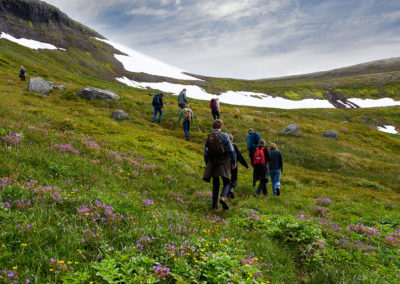 Hiking ved Hornstrandir og Vestfjordene på kør-selv ferie bilferie og grupperejser i Island med ISLANDSREJSER
