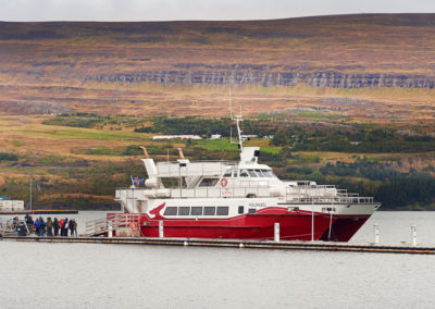 Hvalsafari fra Akureyri på kør-selv ferie bilferie og grupperejser i Island med ISLANDSREJSER