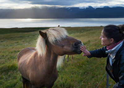 Mette og nysgerrig islandsk hest på kør-selv ferie bilferie og grupperejser i Island med ISLANDSREJSER