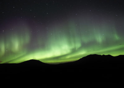 Nordlys over Thingvellir på kør-selv ferie bilferie og grupperejser i Island med ISLANDSREJSER