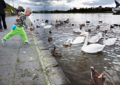 Søen midt i Reykjavik på kør-selv ferie bilferie og grupperejser i Island med ISLANDSREJSER