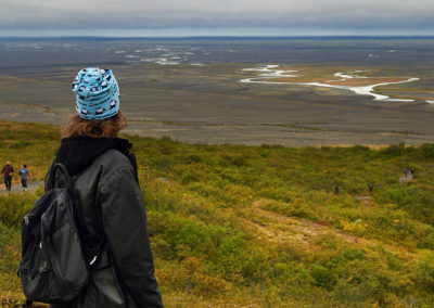 Udsigt ved Skaftafell på kør-selv ferie bilferie og grupperejser i Island med ISLANDSREJSER