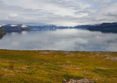 Hornstrandir naturreservat ved Vestfjordene og på kør-selv ferie og bilferie i Island med ISLANDSREJSER