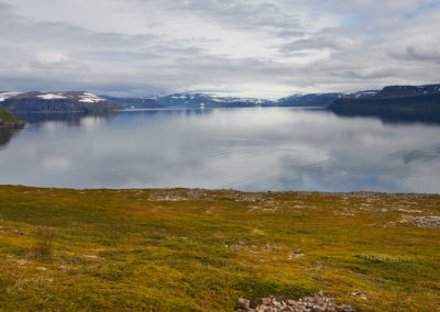 Hornstrandir naturreservat ved Vestfjordene og på kør-selv ferie og bilferie i Island med ISLANDSREJSER
