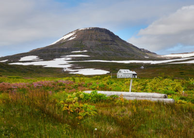 Hornstrandir naturreservat ved Vestfjordene og på kør-selv ferie og bilferie i Island med ISLANDSREJSER
