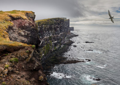 Latrabjarg ved Vestfjordene på kør-selv ferie og bilferie i Island med ISLANDSREJSER