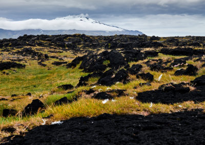 Lavamarker med udsigt til Snæfellsjökull på kør-selv ferie og bilferie i Island med ISLANDSREJSER