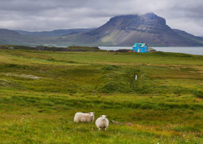 Strandirkysten ved Vestfjordene på kør-selv ferie og bilferie i Island med ISLANDSREJSER