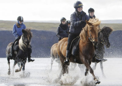 Rideferie på islandske heste med ISLANDSREJSER