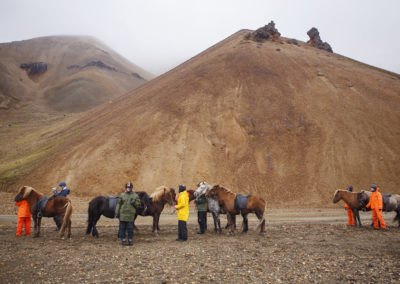 Rideferie rideture og fåresamling på islandske heste med ISLANDSREJSER