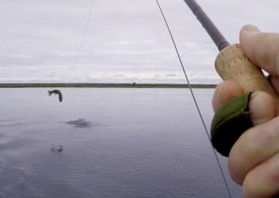 Laksefiskeri i Island med ISLANDSREJSER