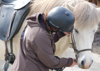 Rideture i Island med Ishestar og ISLANDSREJSER