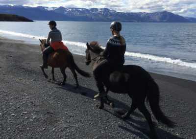 Rideture i Island ved Husavik med Saltvik og ISLANDSREJSER