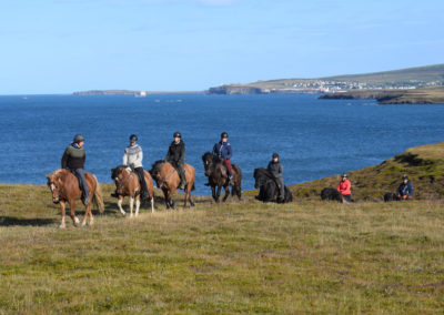 Rideture i Island ved Husavik med Saltvik og ISLANDSREJSER