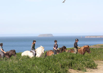 Rideture i Island ved Husavik med Saltvik og ISLANDSREJSER