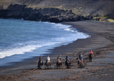 Rideture i Island ved Husavik med Saltvik og ISLANDSREJSER