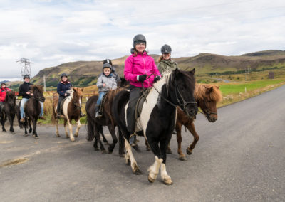 Ridetur på islandske heste og hvalsafari i Island