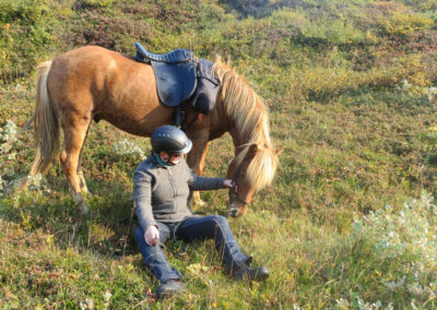 Rideture i Island på islandske heste i Øst-Island med ISLANDSREJSER