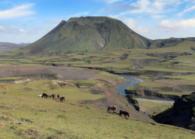 Rideture i Island på islandske heste ved sydkysten med ISLANDSREJSER