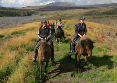 Rideture i Island på islandske heste ved sydkysten med ISLANDSREJSER