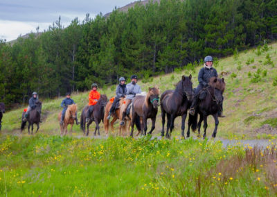 rideture og varme kilder - Eldhestar i Island og ISLANDSREJSER