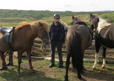 Rideture i Island på islandske heste tæt ved Geysir med ISLANDSREJSER