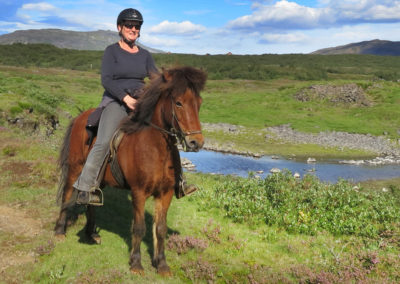 Rideture i Island på islandske heste tæt ved Geysir med ISLANDSREJSER