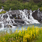 Hraunsfossar kør-selv ferie bilferie og grupperejser i Island med ISLANDSREJSER