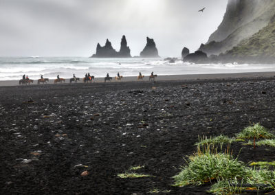 Islandske heste og Reynisdrangar ved Vik på kør-selv ferie, bilferie og rejser til Island med ISLANDSREJSER