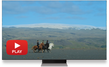 Islandske heste i Island