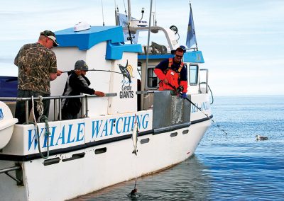 Havfiskeri i Husavik - aktiviteter i Island med ISLANDSREJSER