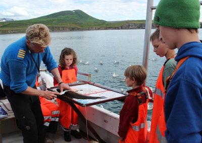 Havfiskeri i Husavik - aktiviteter i Island med ISLANDSREJSER