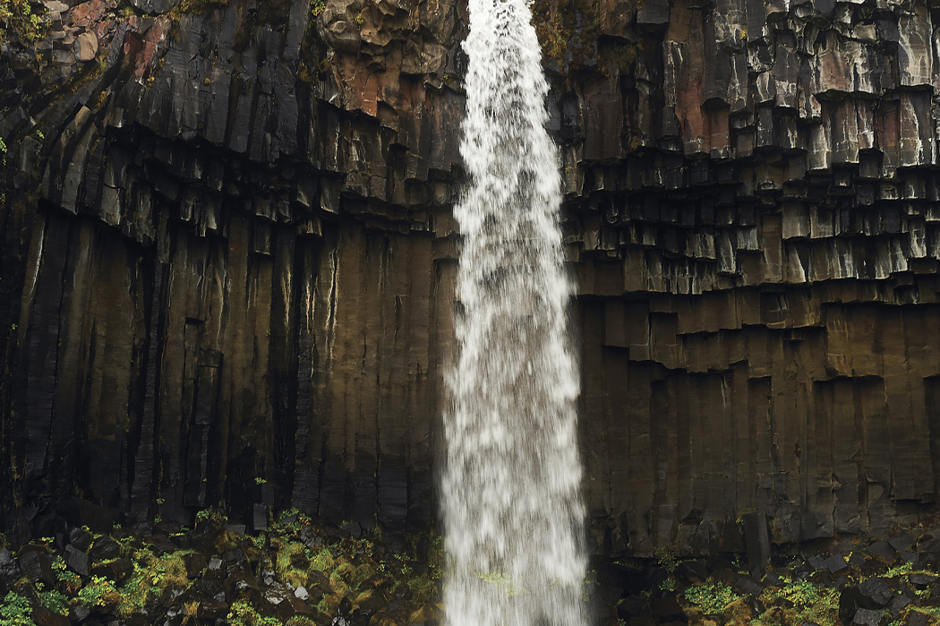 svartifoss vandfaldet og basaltsøjler - vandfald i Island