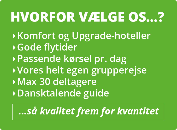 Grupperejser til Island