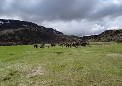 Rideture og rideferie i Island - Rundt om vulkanen